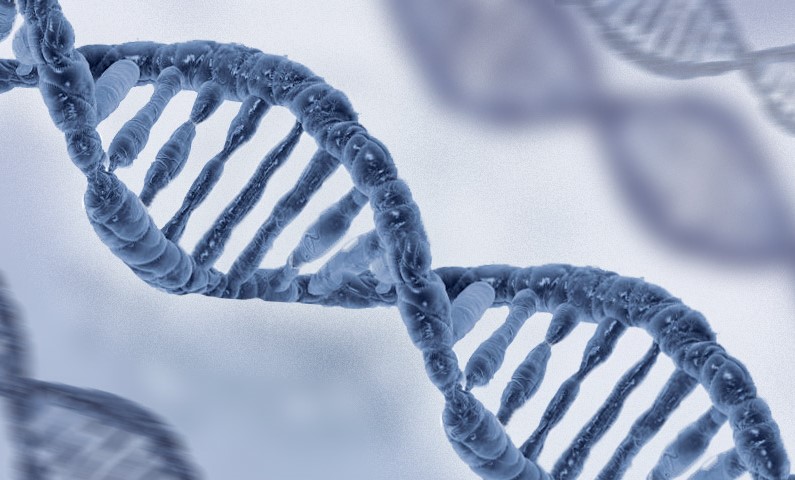 Genes Human API